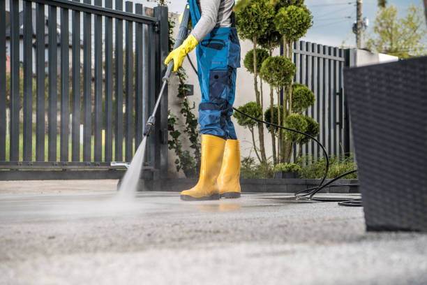 Best Driveway Pressure Washing  in Trail Creek, IN